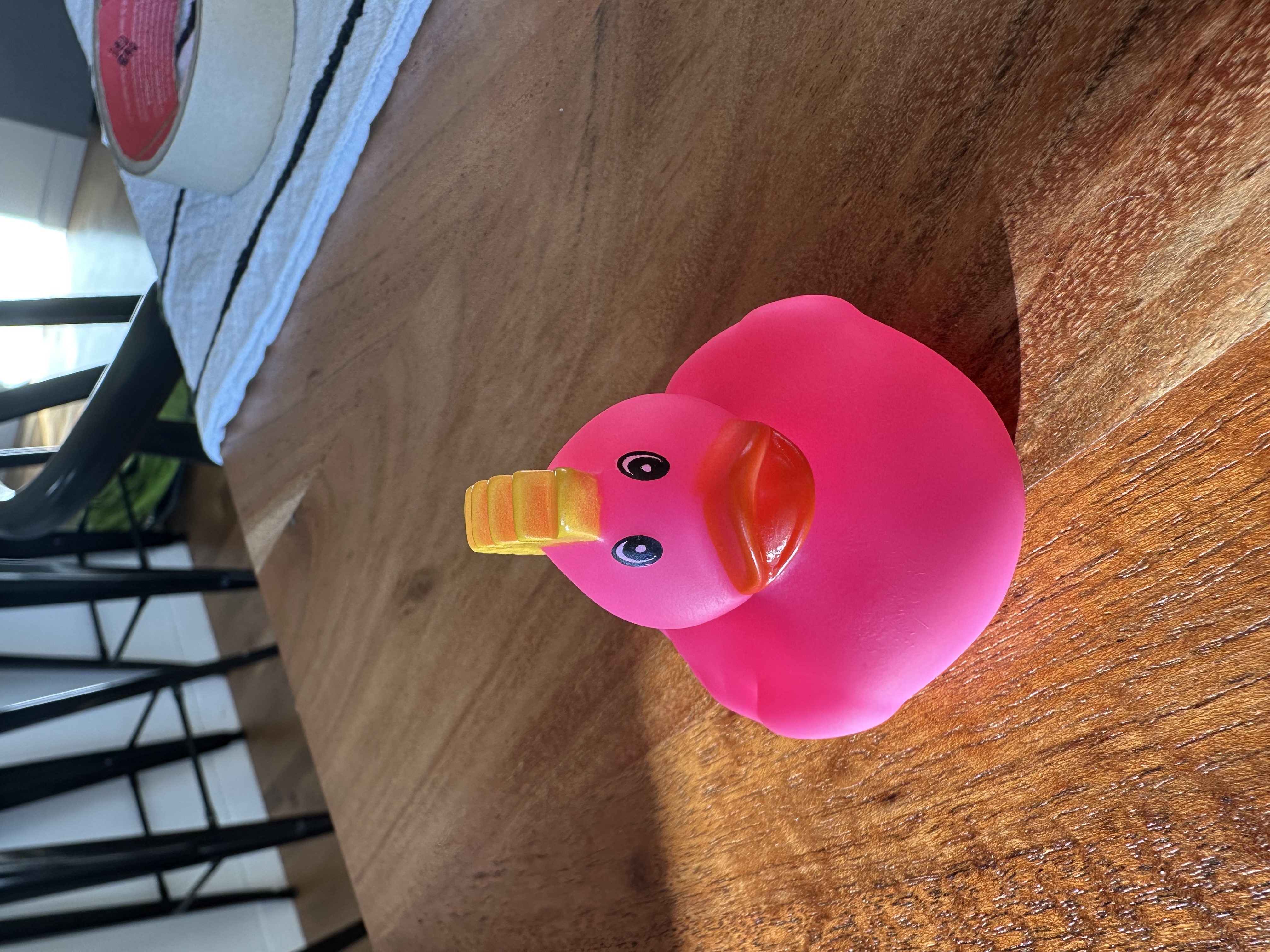 duck pic